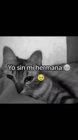 #❤️@Gaby Gutiérrez  #💘🥹🫶......🤭