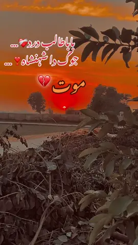 تیرے روسے موت دسیندن 💔#طالب #درد #foru #vir #song @🍷دیوانہ طالب درد دا 🍷 