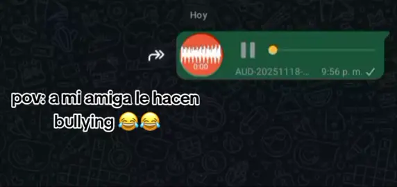 😂😭#gruposdewhatssap #audio #viral #parati #funny 