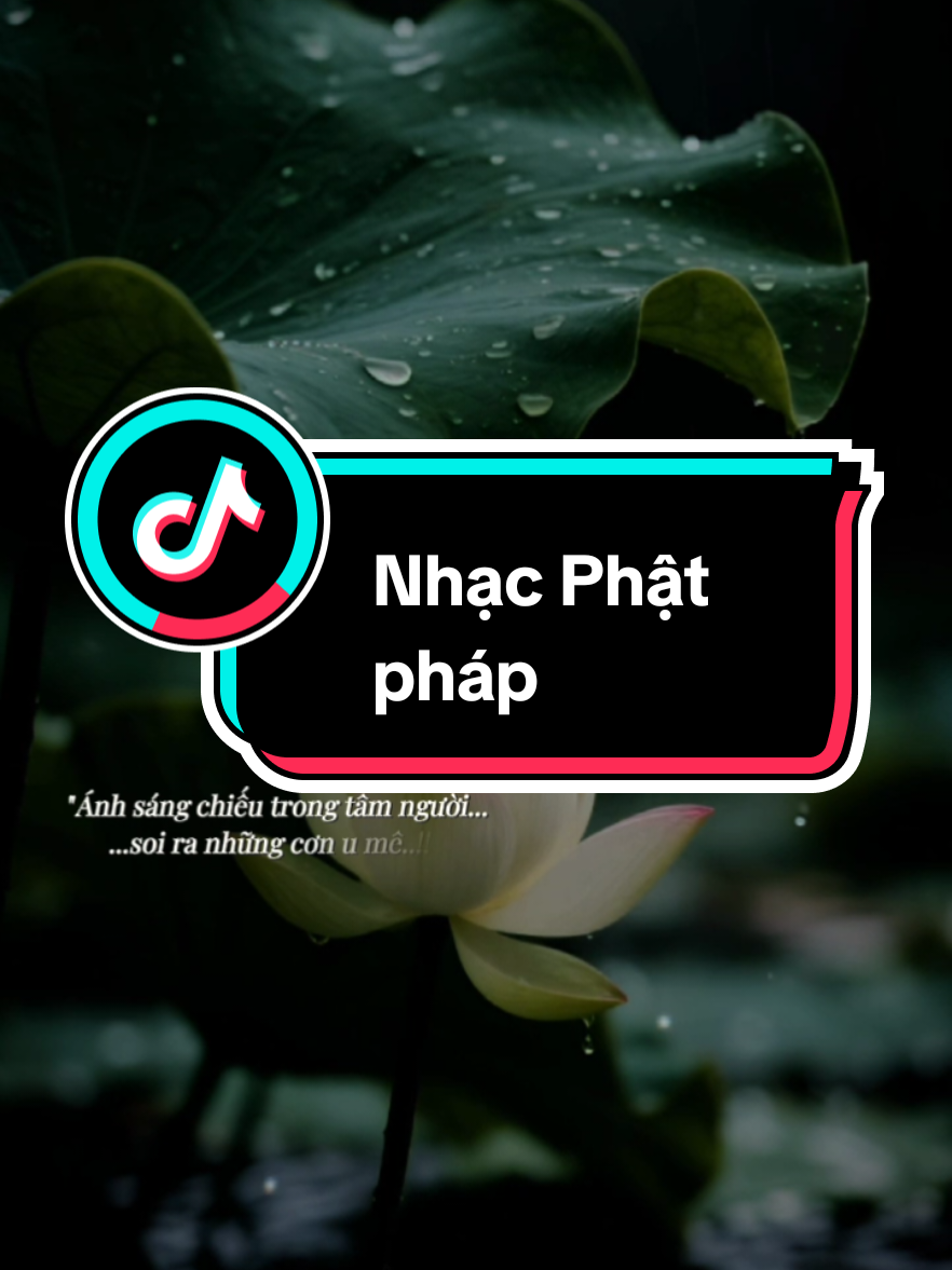 Một niệm thôi con thấy tâm không còn chấp chi..!!#nhipcamxuc_95 #sbtentertainment #nhachaymoingay #fyp #phatphapnhiemmau 