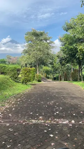 Jepang rasa lokal di kabupaten pasuruan 🥰🥰 .. jangankan orang meninggal, yang masih hidup aja betah disini ☺️☺️ #fypシ゚ #pasuruankabupaten #puncaknirwana #purwosaripasuruan #pagerkulon