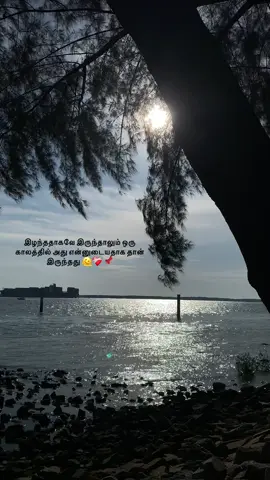 𝑰𝒕 𝒖𝒔𝒆𝒅 𝒕𝒐 𝒃𝒆 𝒎𝒊𝒏𝒆, 𝒃𝒖𝒕 𝒕𝒊𝒎𝒆 𝒕𝒐𝒐𝒌 𝒊𝒕 𝒂𝒘𝒂𝒚 𝒒𝒖𝒊𝒆𝒕𝒍𝒚🫠❤️‍🩹📌 #tamilsong #justforyou #nature #trusttheprocess #fyp 