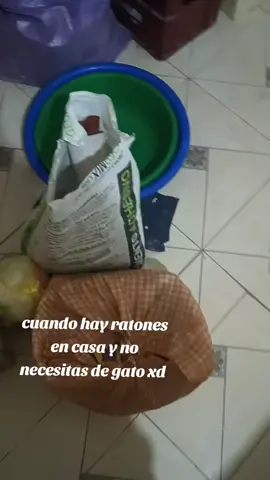 #bolivia🇧🇴 #locos #todos