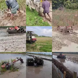 Didaerah kalian teknologi pertanian sudah maju apa mundur gaes...? #traktorsawah #tahun2000 #pertanian 