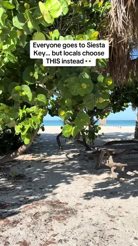 Everyone goes to Siesta Key… but Nokomis Beach is where locals actually stay 🌴 And the Home2 Suites just minutes away is under $140/night right now 🤯 Pool, free breakfast, kitchen suites + a short walk to the beach. Tap the green pin to check prices and book your dates ⬇️ #tiktokgotryout #nokomis #floridatravel #budgettravel #wintertravel 