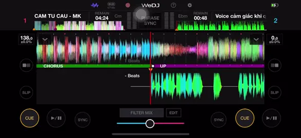 Cẩm Tú cầu…#wedij #xuhuongtiktok #abcxyz 