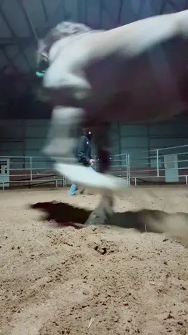 #horsesinthestable #trendingdance #dancinghorse #leothesparklypony 