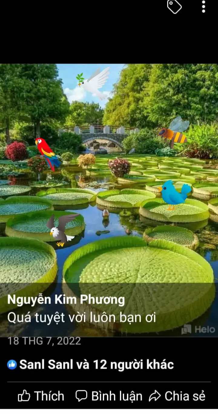 sân vườn cảnh thâm Quan du lịch ngắm cảnh rất là đẹp 👍👍👍🫶🫶💯💯💒👫💞🤝