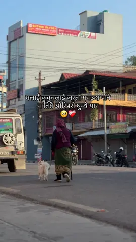 कति माया गर्थिस नसोध 🥺❤️‍🩹 #fypシ #fyppppppppppppppppppppppp 