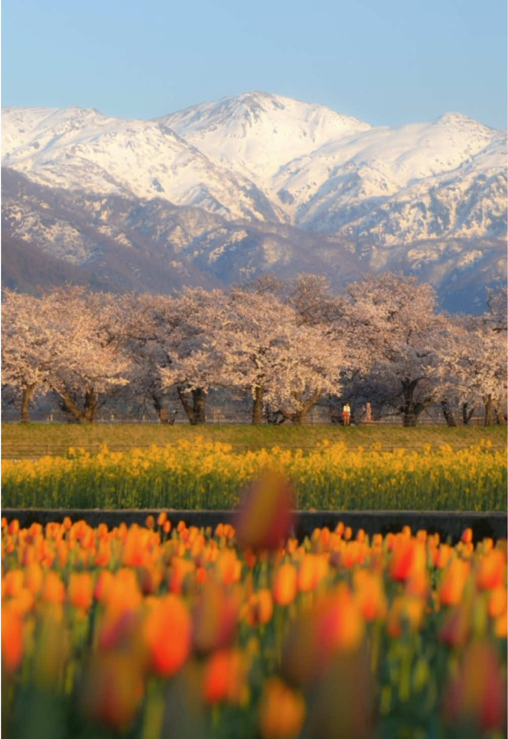 富山が見せてくれた季節の彩り。