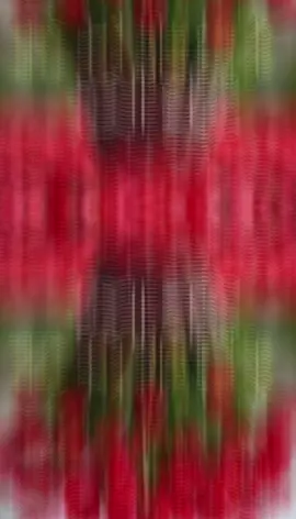 #صباح_الخير 