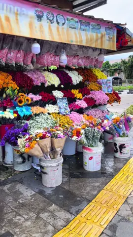#fresflowers💐 #handbuket💐 #plazajambuduabogor #jambuduabogor #bungasegar 