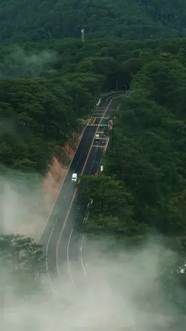 📍CẬP NHẬT ĐƯỜNG ĐÈO MIMOSA LÊN ĐÀ LẠT👉🏻 Điểm nguy cơ sạt lỡ tại đèo Mimosa đang được lực lượng chức năng đóng cọc thép đỡ nền đường trong buổi sáng nay. Phương tiện được điều phối đi ngang qua nhưng chậm và không quá kẹt Để lên Đà Lạt theo hướng cao tốc có thể di chuyển qua đèo Sacom hoặc Mimosa. Đèo Prenn chắc vài tháng nữa mới thông lại, có tin sẽ cập nhật liền cho ace nhen! Cầu cho bình an đến với mn ❤️#DalatCham 