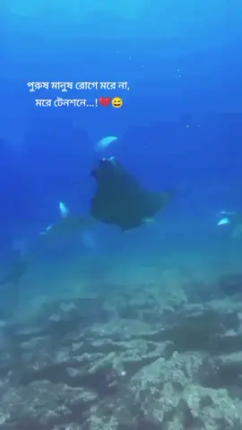 #creatorsearchinsights পুরুষ মানুষ রোগে মরে না মরে টেনশনে 💔#কুমিল্লার_ছেলে 