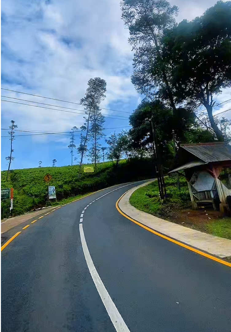 Kebun teh Cijatem-sukalaksana  #kebunteh #cianjurselatan #sukanagara #pemandangan #fyp 
