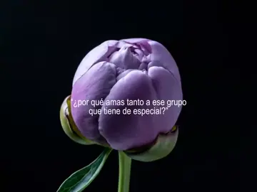 lo subo otra vez pqq sii 🫰🏿🫰🏿💜 #bts_official_bighit #fouryoupage #parkjimin #rossmiiimi #bts 