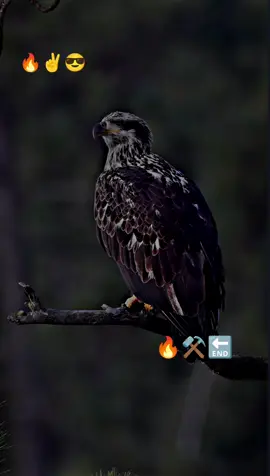 او لالا دنیا والوں سے  #writer #foryoupage #🖇️✨🥀💔 #foryou #5000k 