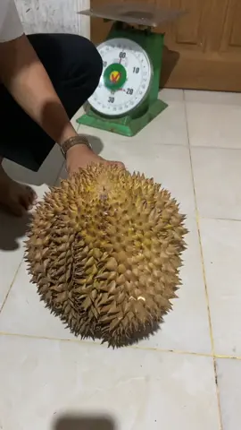 #fypdurian 
