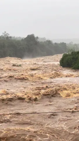 Sông krong năng thất thủ rồi #lũ #lũlụt #47daklak #xuhuong 