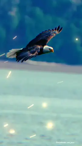 Deus abençoe todos ❤️🙏🏻#jesus #Deus #motivacion 