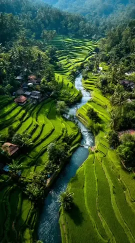 rindu kampung halaman,, #vibes #nostalgia #foryou #suasanadesa #kampung 