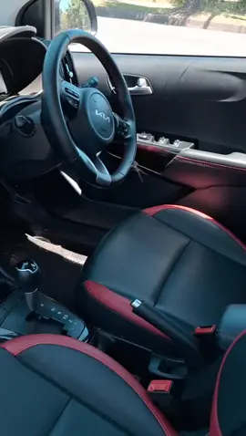 This huntsman spider ran in my window and over my steering wheel! Don't ask me how I am now outside of the car...it all happened so fast. Well going to have to burn it down now 😱🕷 #spiderincar #fyp #whatsup #theresaspiderinmycar #huntsman 