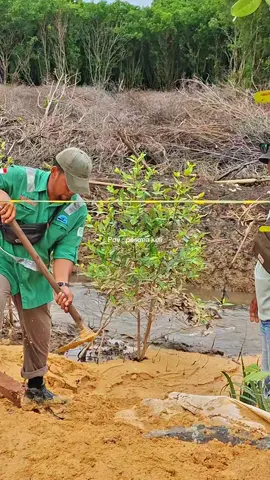 #fyp #riau #tambangbatubara 