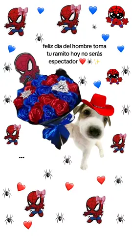 #19denoviembre día del hombre ❤️🕷️💙✨ #paratiiiiiiiiiiiiiiiiiiiiiiiiiii #video #videoparadedicar #fypシ゚ 