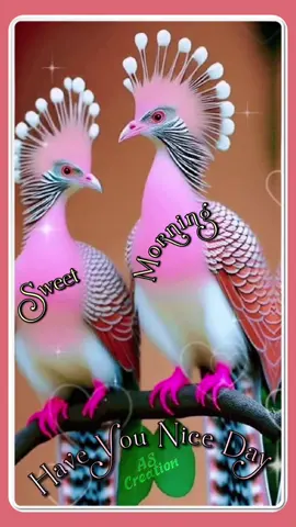 #lovely poetry #🌹🌷🌺💐👄#پا گل لڑکی #