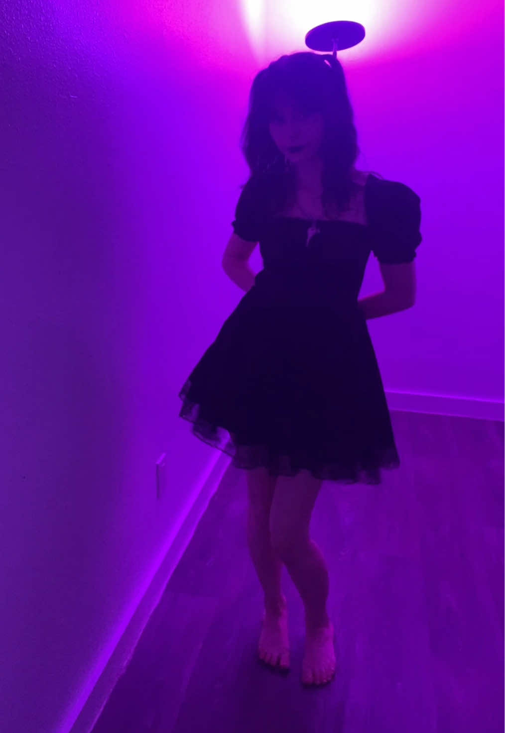 Bunny go meow 🐰♠️