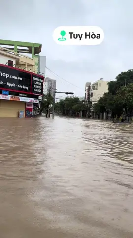 Tuy Hoà ngập nặng 19/11/2025 #lụtmiềntrung #tuyhoaphuyen 