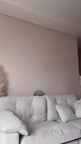 Follow and likes for more updates #xuhuong #newpostviral #mimidancer #mimi #dancer 