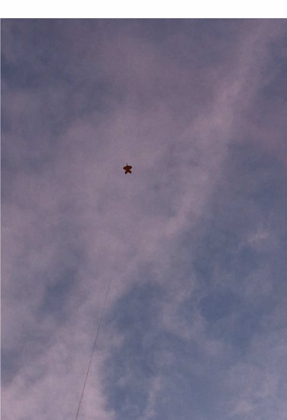 🍃🪁🤍.#ว่าวจุฬาส่วนลบ #ว่าวจุฬา #ลมหนาว #อุบลราชธานี #บ่าวอุบล 