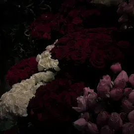 কোন প্রান্তে এখন জানিনা.🙂❤️‍🩹 ... . . #vairal #foryou #foryoupage❤️❤️ #fyppppppppppppppppppppppp #fypシ゚ @𝐍𝐨_𝐌𝐮𝐬𝐢𝐜🕊️ @Ahmad Salah @اِبنِ شریعة 