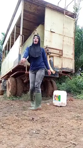 apes guysss...😌😌