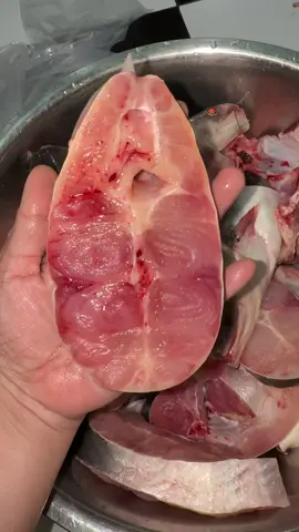 Sebanyak ini cuma 100rb dan di jamin gak bauk lumpur #masyaallahtabarakkallah #alhamdulillah #tanteichaatazen #tanteyuhuupunyacerita #tanteyuhuupalembang 