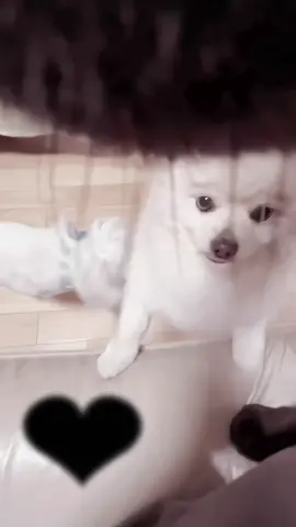 #♡♡♡♡♡♡♡♡♡♡ 