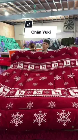 Chăn yuki lông thỏ #haohomhinh #chanyuki 