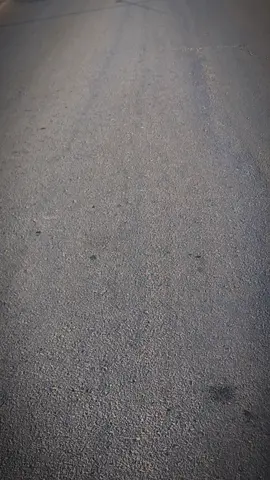 #شبوه_ديرتي_مسقط_الراس💕 #الرقه #تصويري📸 #اجواء_صباحيه🤍😇 