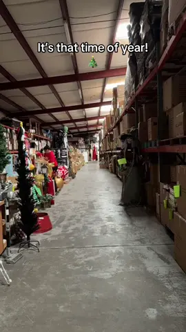 Tis the Season #blackfriday #cybermonday #christmasdeals #christmasdecor #fyp 