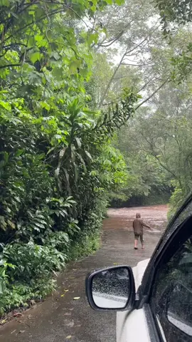 Akses menuju kandang singa arus nya kenceng banget jadi disuruh puter balik, dan banyak rute yang tertutup arus juga😌 