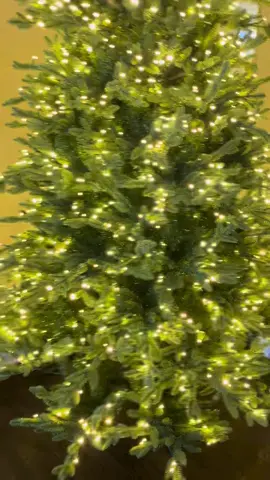 Isn’t she lovely?! Shop at tmigifts.com #blackfriday #cybermonday #christmasdeals #christmasdecor #fyp 