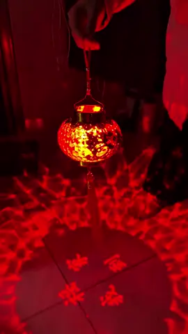 Đèn lồng trang trí Tết #tet2026 #decortet #trangtritet #denlong #phukientet 