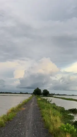 Trên đời này thương mình vô điều kiện chắc chỉ có cha mẹ mình thôi….#buontamtrang 