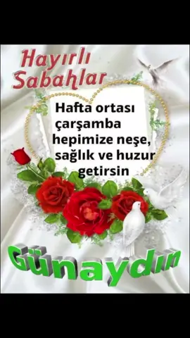 Amin inşaallah 🤲🤲🤲