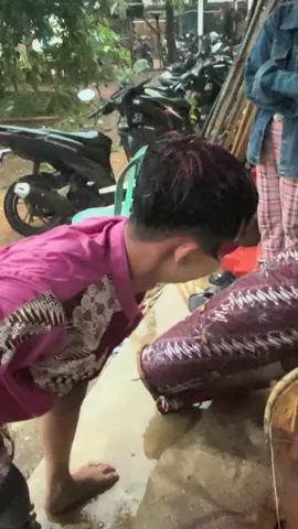 Panggah bokong semok wkskw