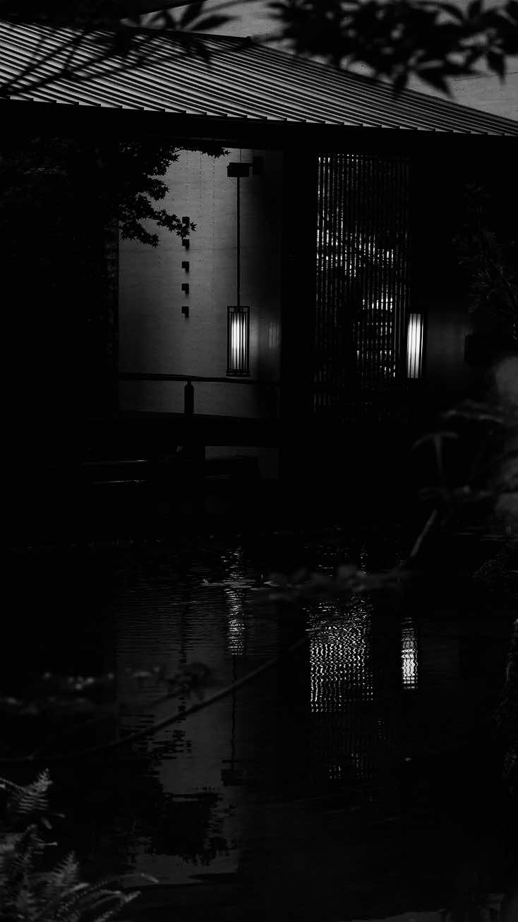 Cô đơn không đáng sợ cô đơn mà yên bình#su15089x #sbtentertainment #fyp #nhachaymoingay #nhacremix 