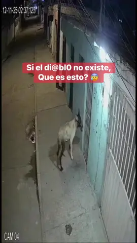 Sigo pensando en que animal es 😱 #ayacucho #paranormal #terror #miedo #terrorsobrenatural 