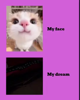 bigg dream.. 😩🫶#foryou #foryoupage #stxrly7x #newidpleasesupport 