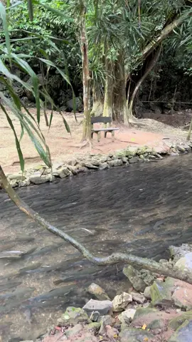 Về quê Thanh đất rộng người đông ….🥰🥰#thube #suoicathanthanhhoa #suoicathancamluong #thanhhoaquetoi #dulichthanhhoa 